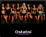 motolevel - ostatni